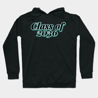 Class of 2036 Hoodie